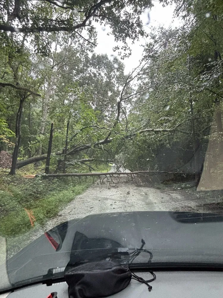 Reliable landscape design in Burlington, NC - Axes N Action