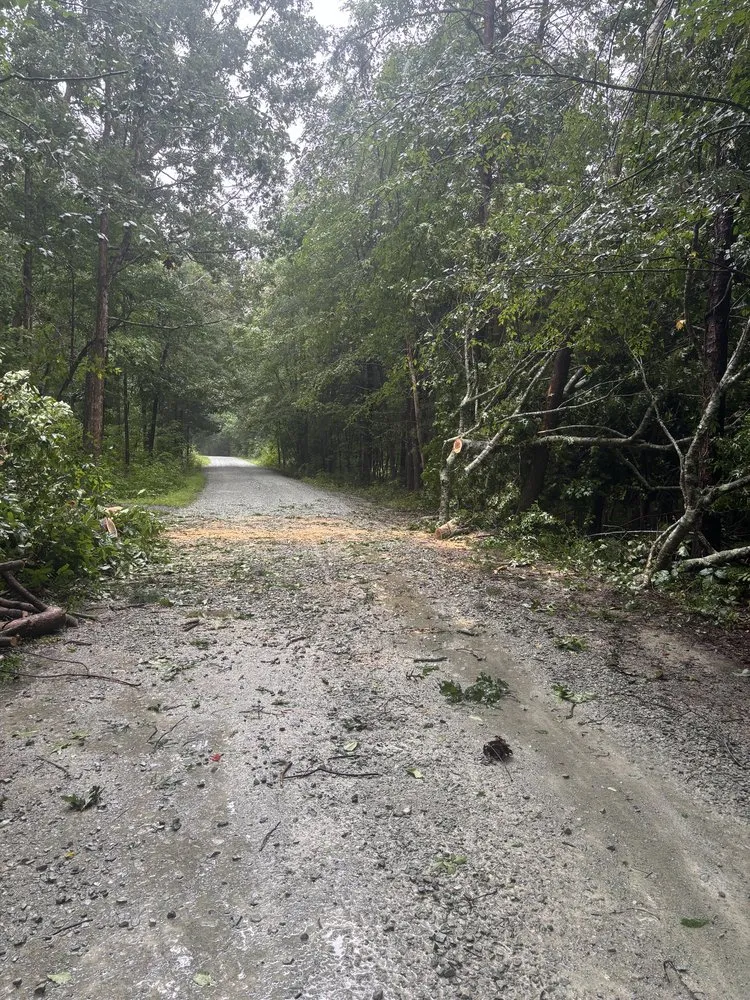 Reliable landscape design for residential properties in Burlington, NC by Axes N Action