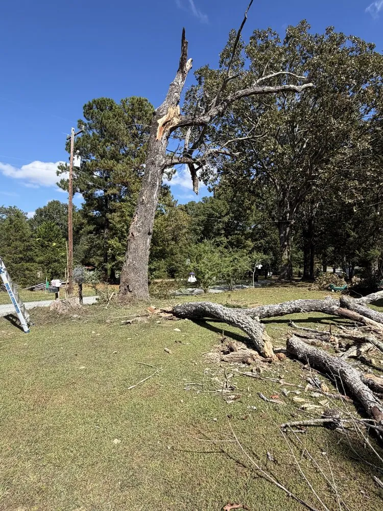 Affordable landscape installation in Burlington, NC by Axes N Action