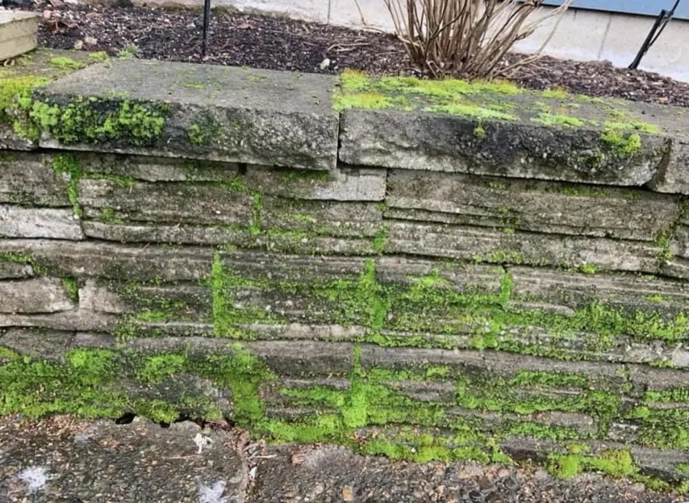 Expert landscaping services in Tualatin, OR by Axis Hardscape & Design