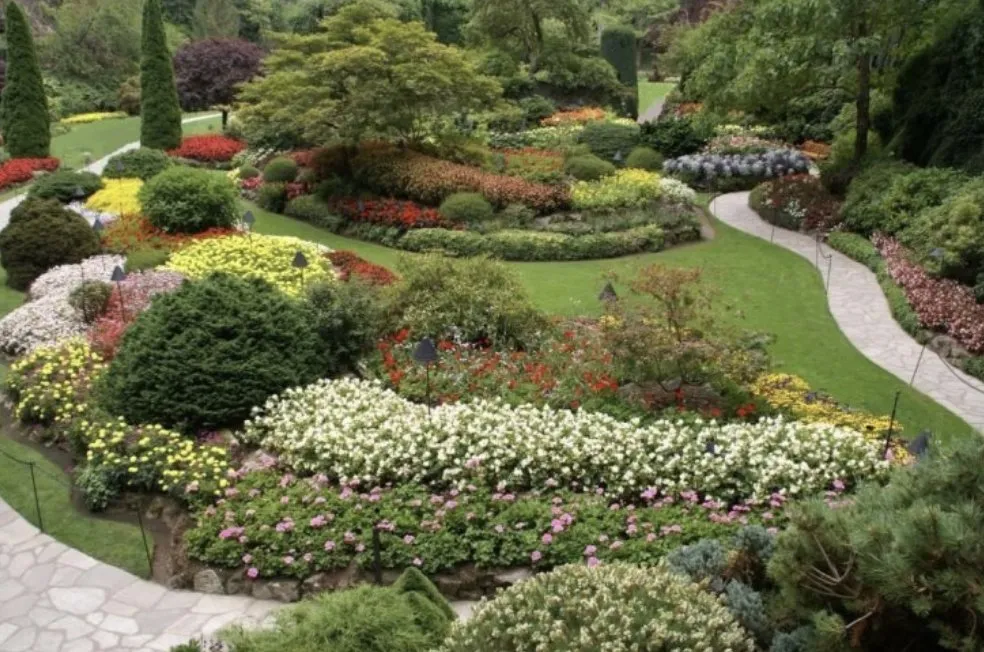 Expert lawn care service for homes in Kula, HI by Axis Landscaping