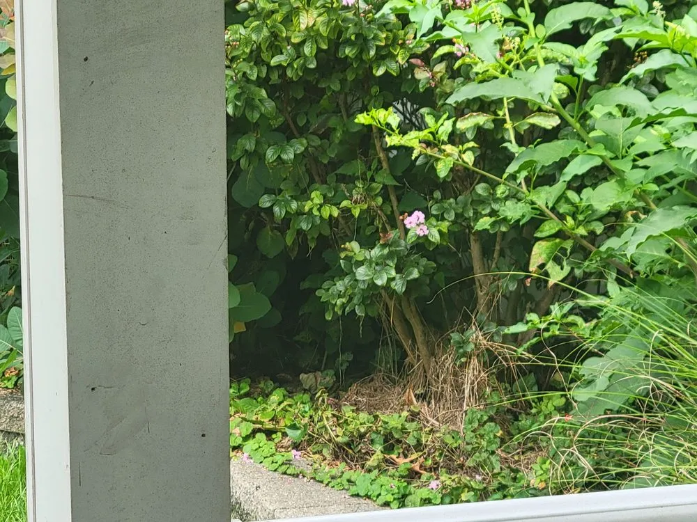 Professional yard maintenance experts serving Swedesboro, NJ - Axis Landscaping