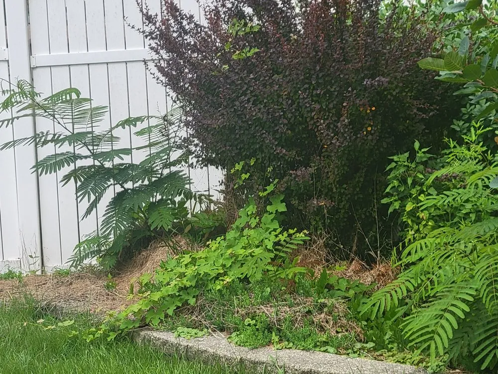 Professional residential landscaping in Swedesboro, NJ - Axis Landscaping