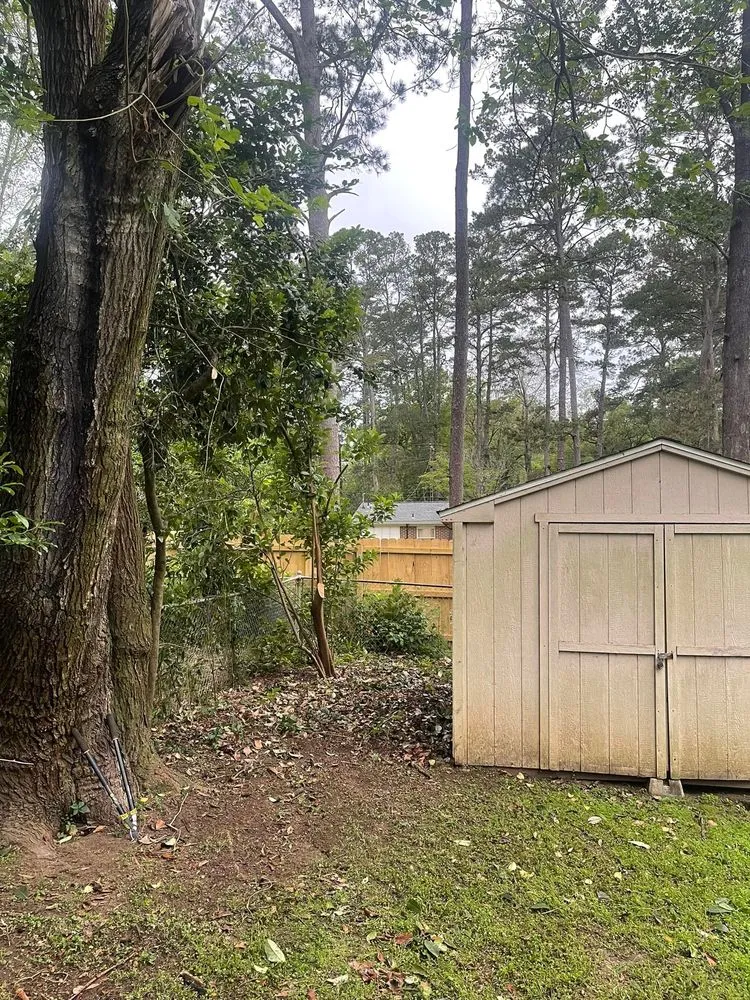 Reliable yard maintenance for homes across Tallahassee, FL - Axis Outdoor Service's