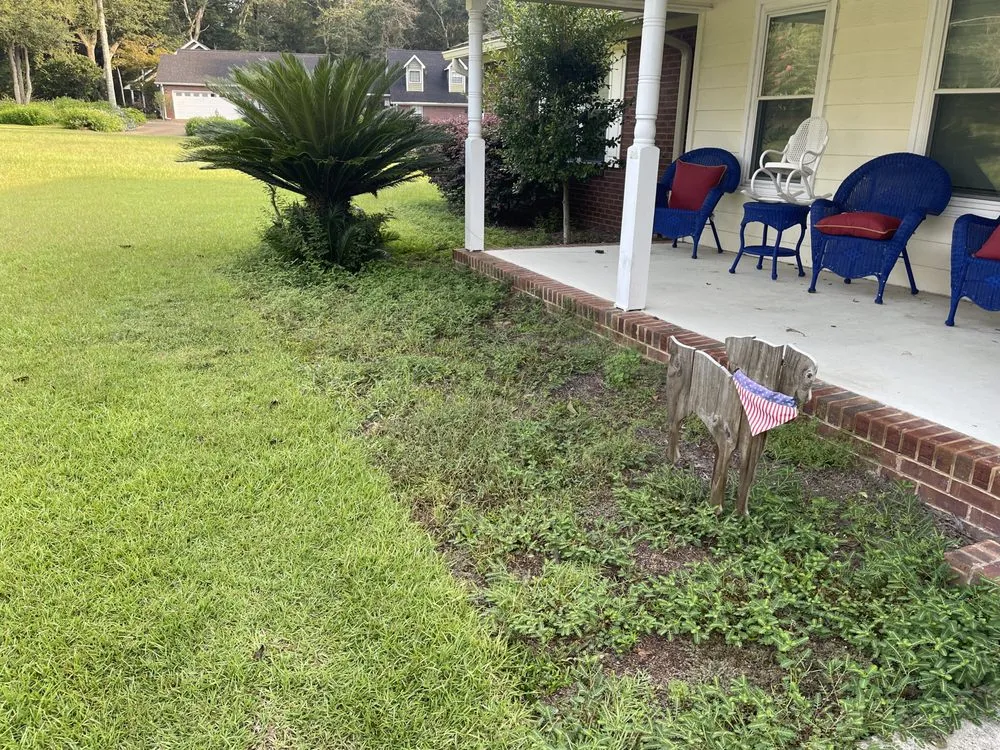 Custom lawn care service in Tallahassee, FL - Axis Outdoor Service's