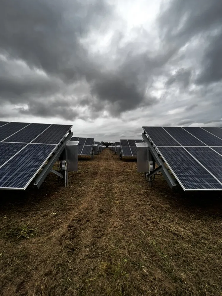 Trusted landscaping services near you in Tallahassee, FL by Axis Outdoor Service's