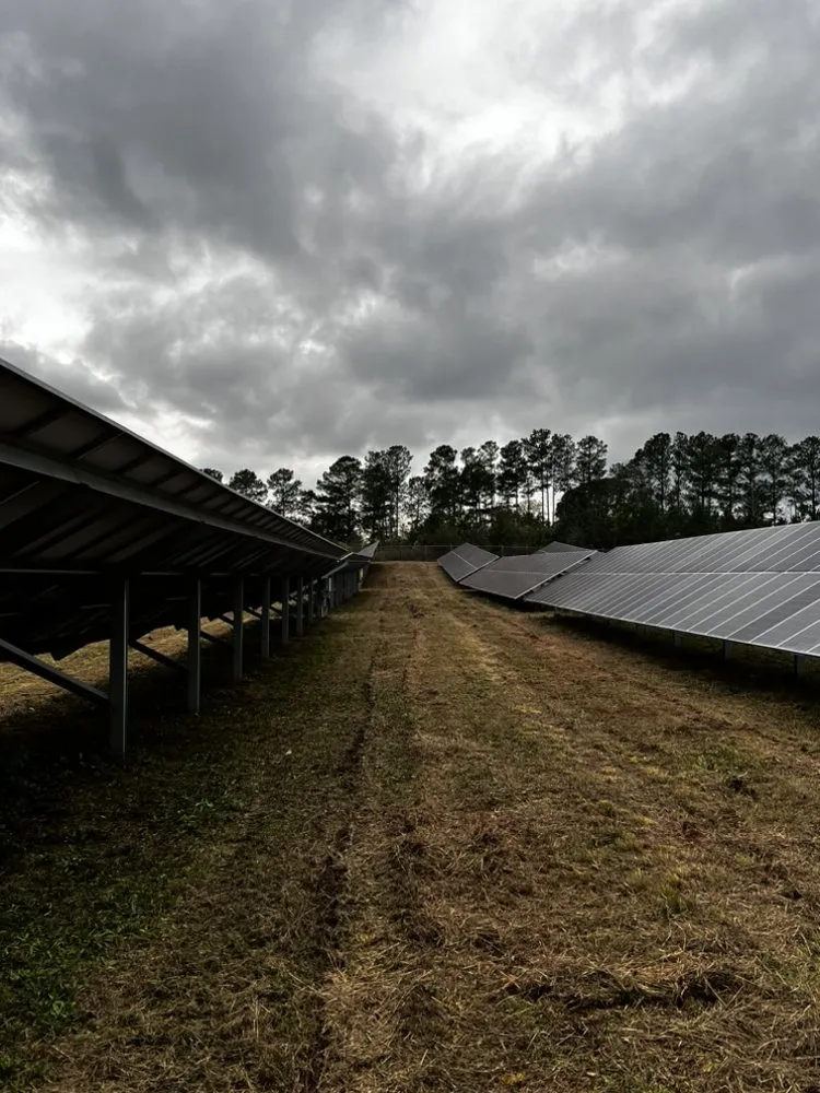 Expert yard maintenance for residential properties in Tallahassee, FL by Axis Outdoor Service's