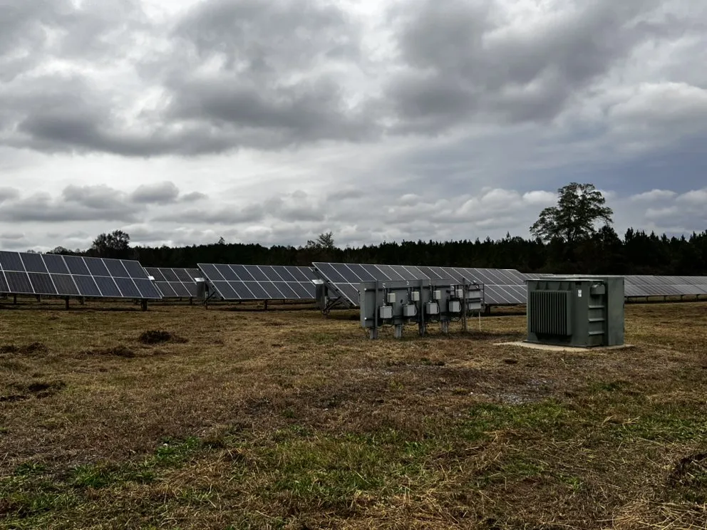 Top-rated residential landscaping for residential properties across Tallahassee, FL - Axis Outdoor Service's