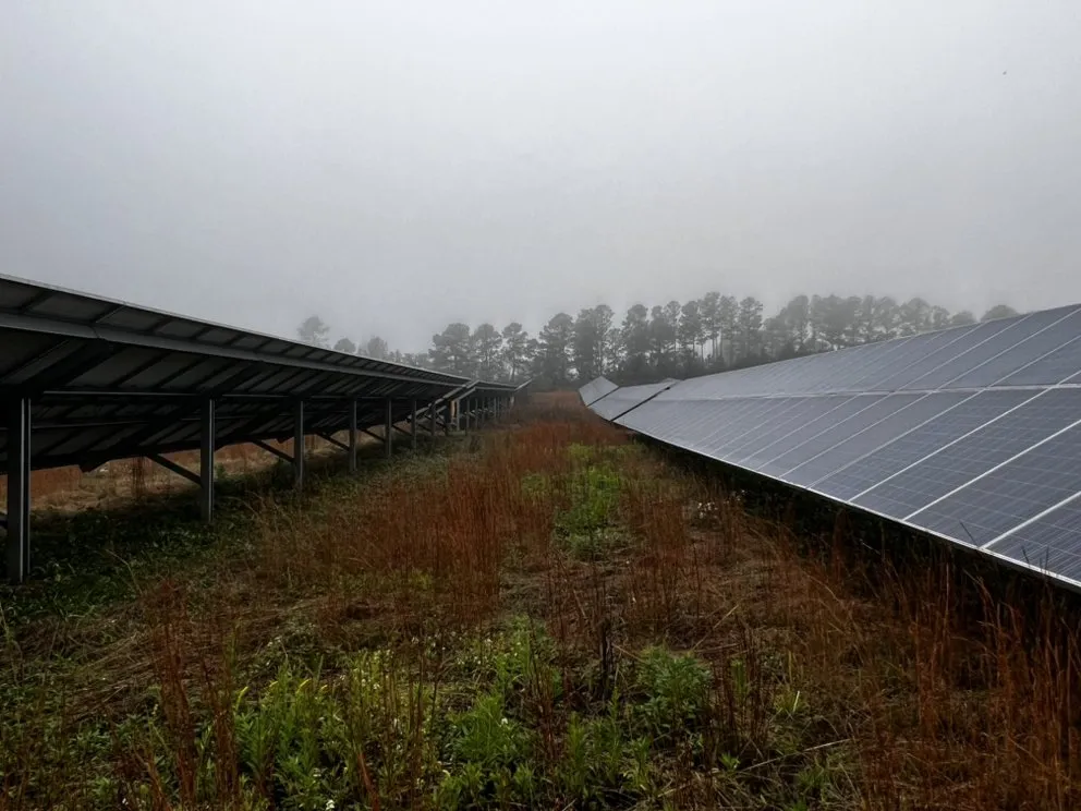 Custom outdoor landscaping in Tallahassee, FL - Axis Outdoor Service's