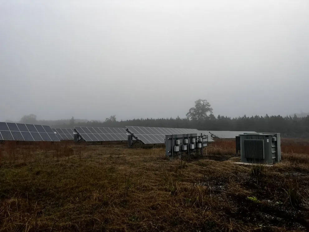 Reliable garden landscaping experts serving Tallahassee, FL - Axis Outdoor Service's