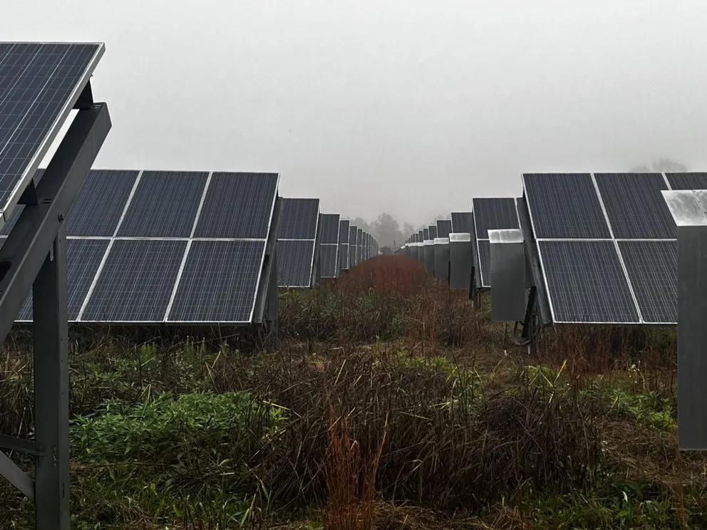 Reliable outdoor landscaping experts serving Tallahassee, FL - Axis Outdoor Service's