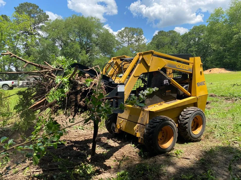 Trusted lawn care service in Tallahassee, FL by Axis Outdoor Service's
