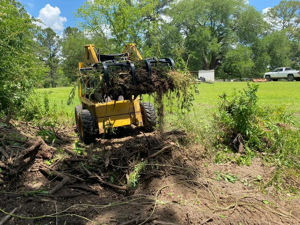 Local yard maintenance in Tallahassee, FL by Axis Outdoor Service's
