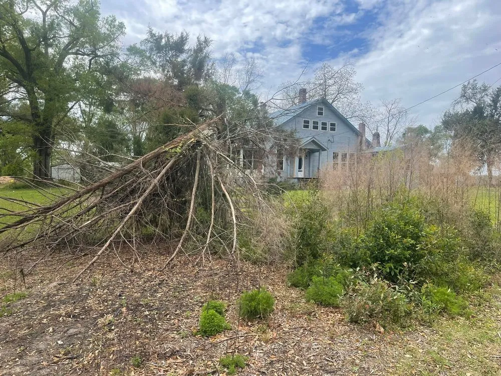 Custom landscape design in Tallahassee, FL - Axis Outdoor Service's