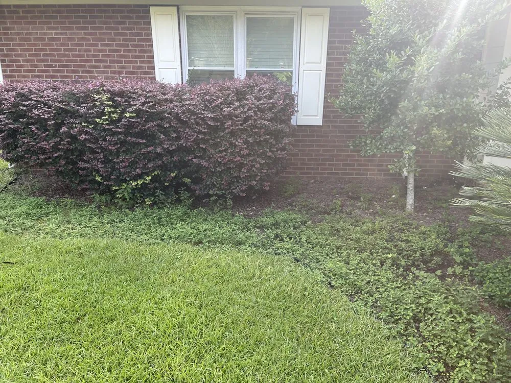 Affordable landscaping services in Tallahassee, FL - Axis Outdoor Service's