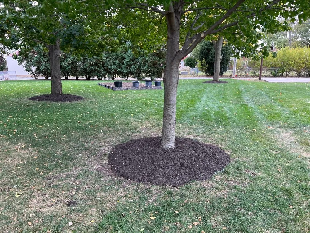 Affordable lawn care service in Exeter, NE - Axline Landscaping & Trees