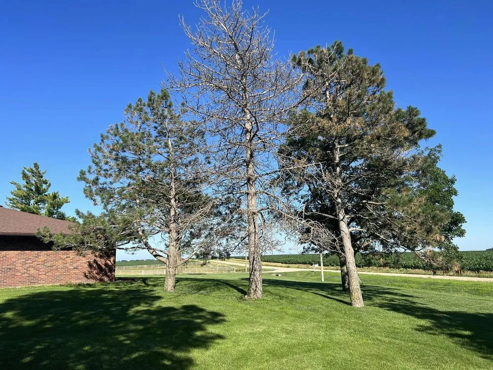Top-rated landscape installation with custom design in Exeter, NE by Axline Landscaping & Trees