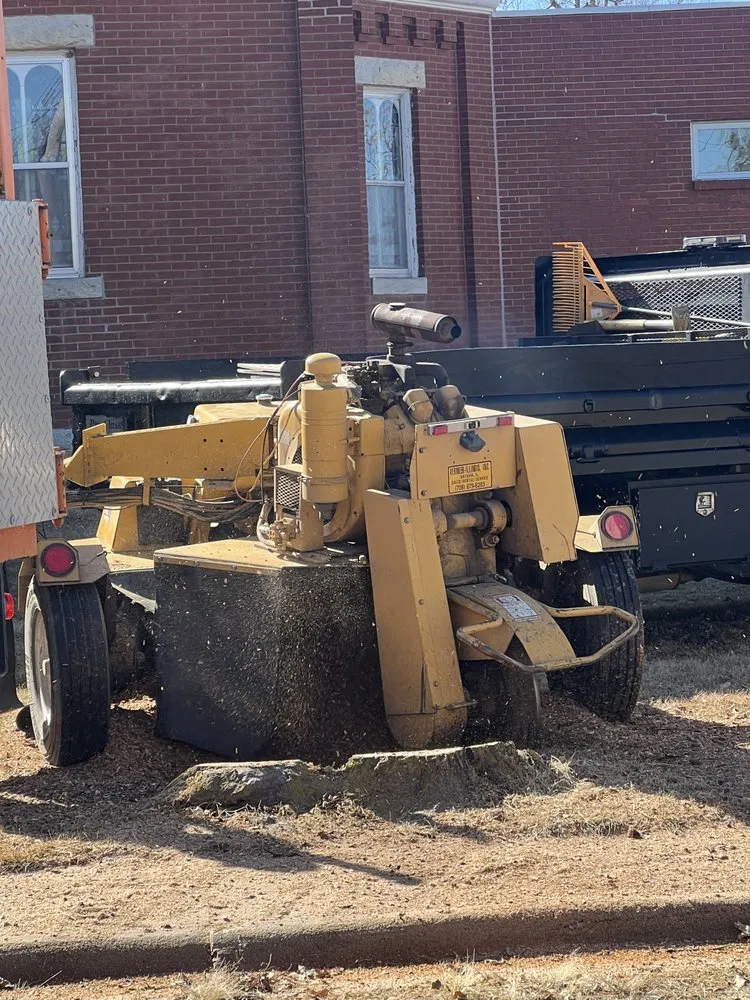 Professional yard maintenance in Exeter, NE - Axline Landscaping & Trees