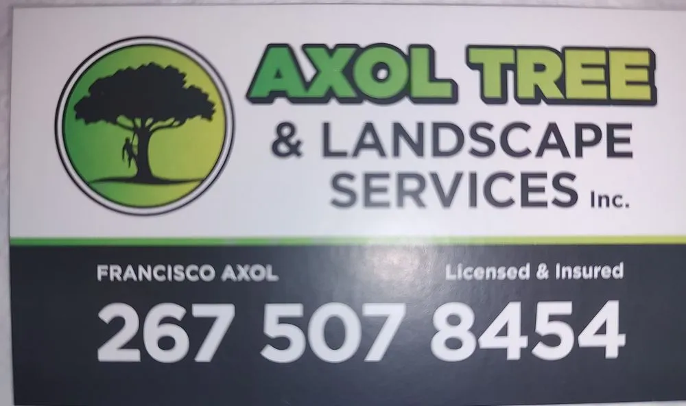 Top-rated landscape installation experts serving Willow Grove, PA - Axol Tree & Landscape Services