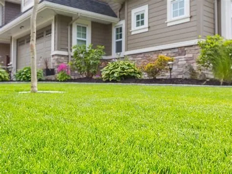 Expert lawn care service for beautiful yards across Geneva, NY - Axs Landscaping