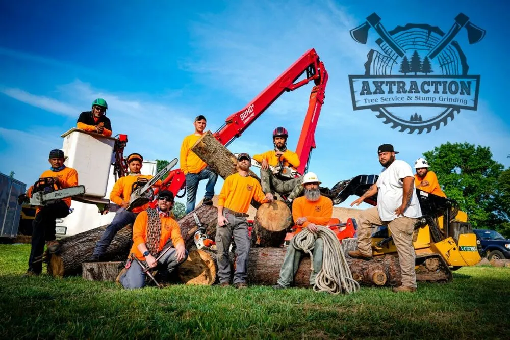 Custom yard cleanup service with custom design across Indian Trail, NC - Axtraction