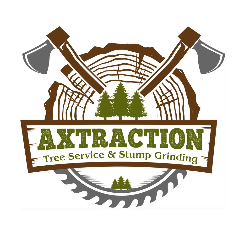 Local outdoor landscaping with custom design across Indian Trail, NC - Axtraction
