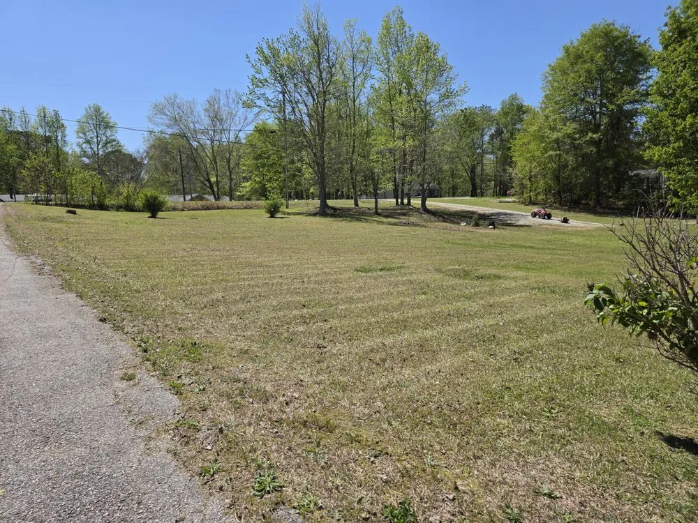 Top-rated lawn care service near you in Bremen, GA by AY Landscape & More