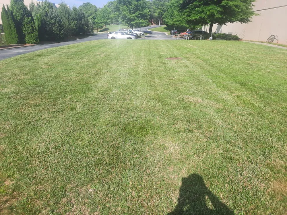 Local yard cleanup service with custom design in Bremen, GA by AY Landscape & More