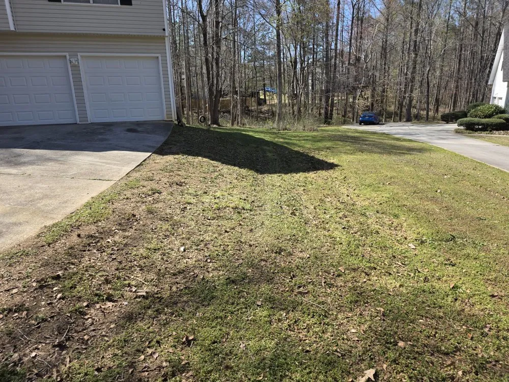 Trusted landscaping services in Bremen, GA by AY Landscape & More