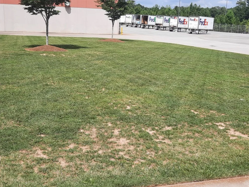 Trusted landscape installation for residential properties in Bremen, GA by AY Landscape & More