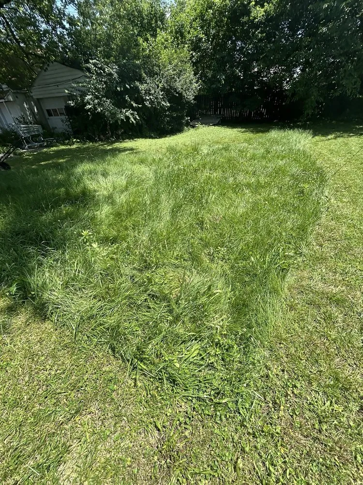 Reliable residential landscaping in Fairborn, OH by Ay Lawn Care