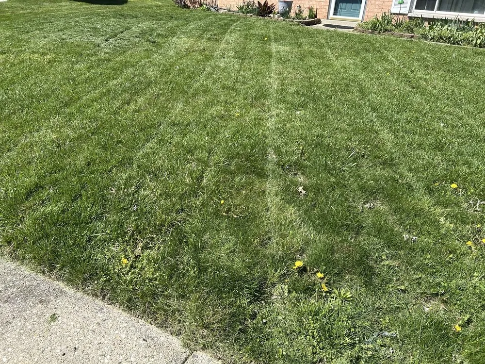 Trusted landscape design in Fairborn, OH by Ay Lawn Care