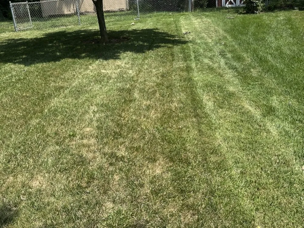 Affordable landscape installation experts serving Fairborn, OH - Ay Lawn Care