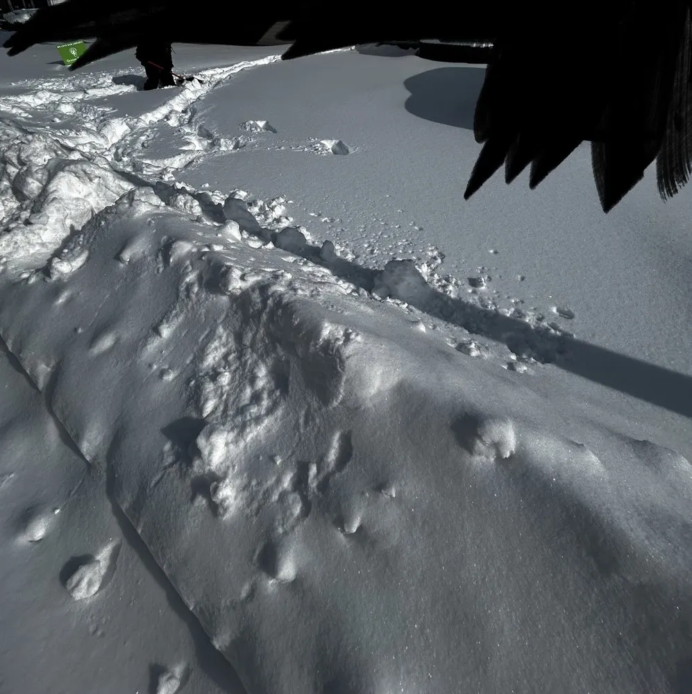 Top-rated landscaping services near you across Fairborn, OH - Ay Lawn Care