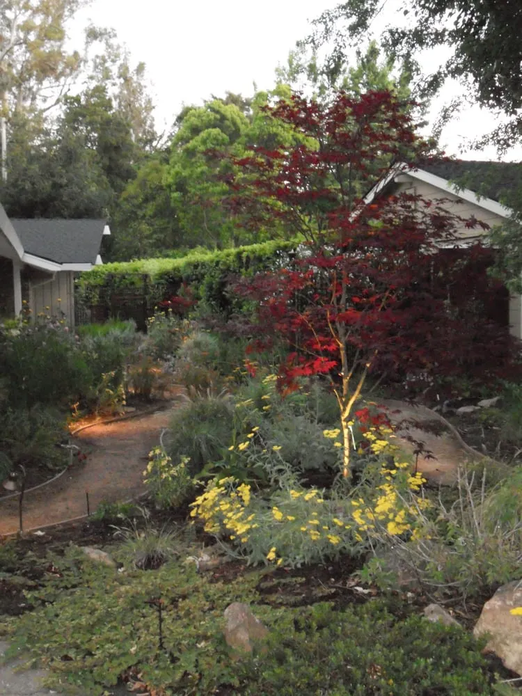 Local outdoor landscaping for residential properties in Oakland, CA by AY Sustainable Landscape Design