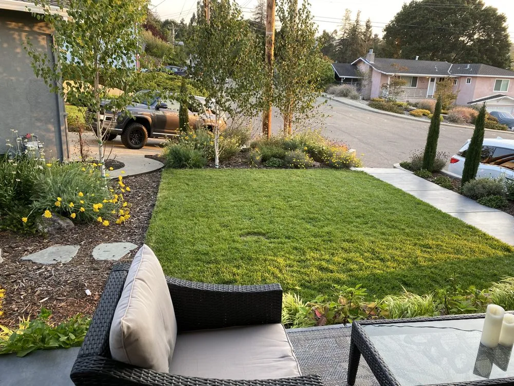 Custom lawn mowing service for outdoor upgrades in Oakland, CA by AY Sustainable Landscape Design