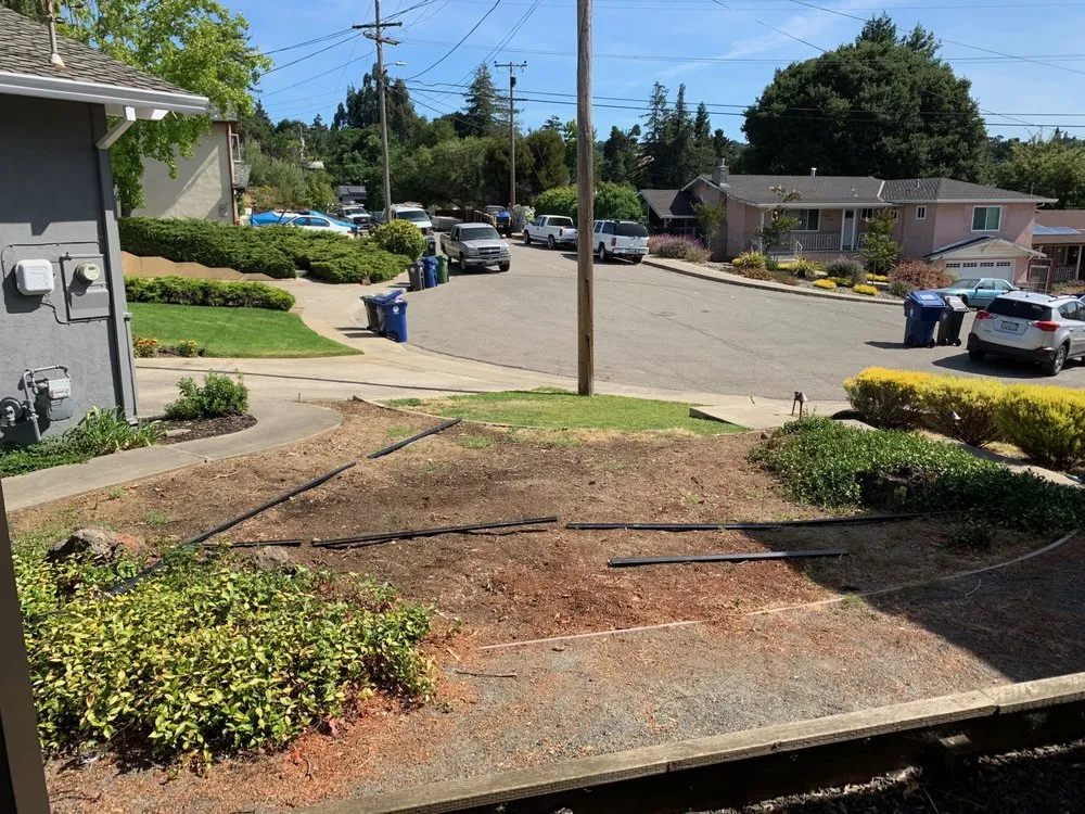 Custom residential landscaping in Oakland, CA by AY Sustainable Landscape Design