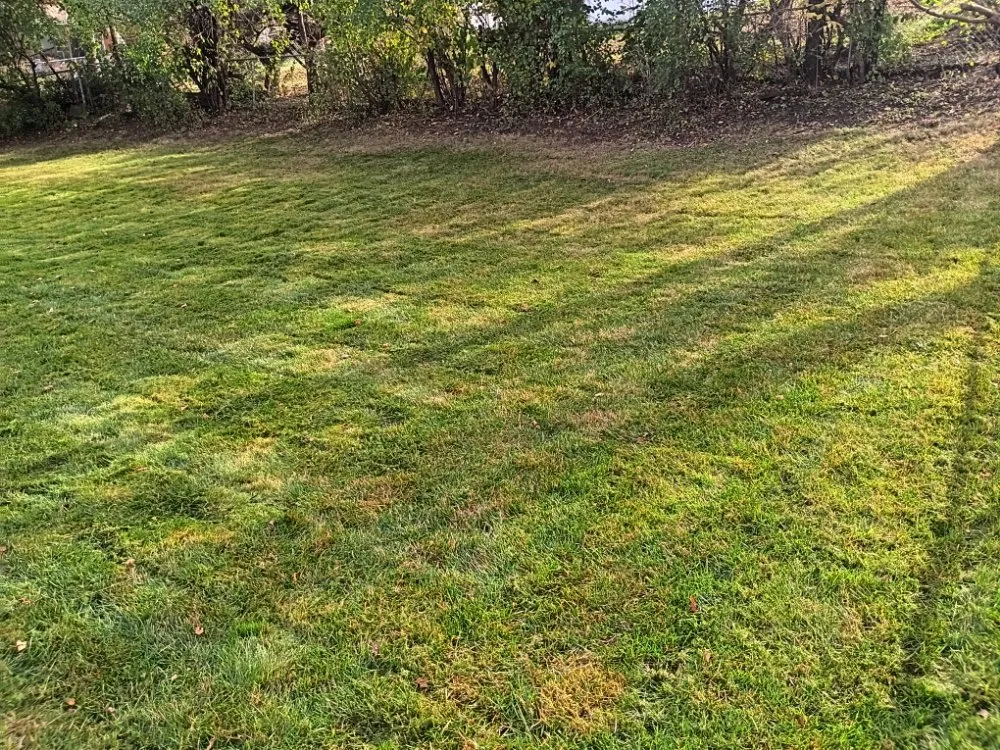 Reliable landscape design for residential properties in Sun Prairie, WI by AYA Lawn Care & Snow Removal