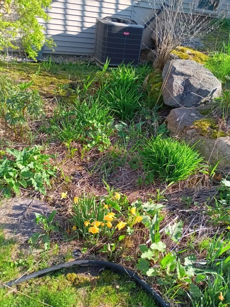 Top-rated landscape design near you across Sun Prairie, WI - AYA Lawn Care & Snow Removal