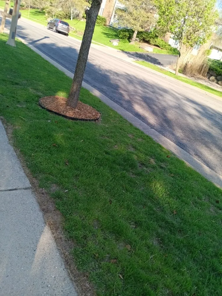 Custom landscaping services in Sun Prairie, WI - AYA Lawn Care & Snow Removal