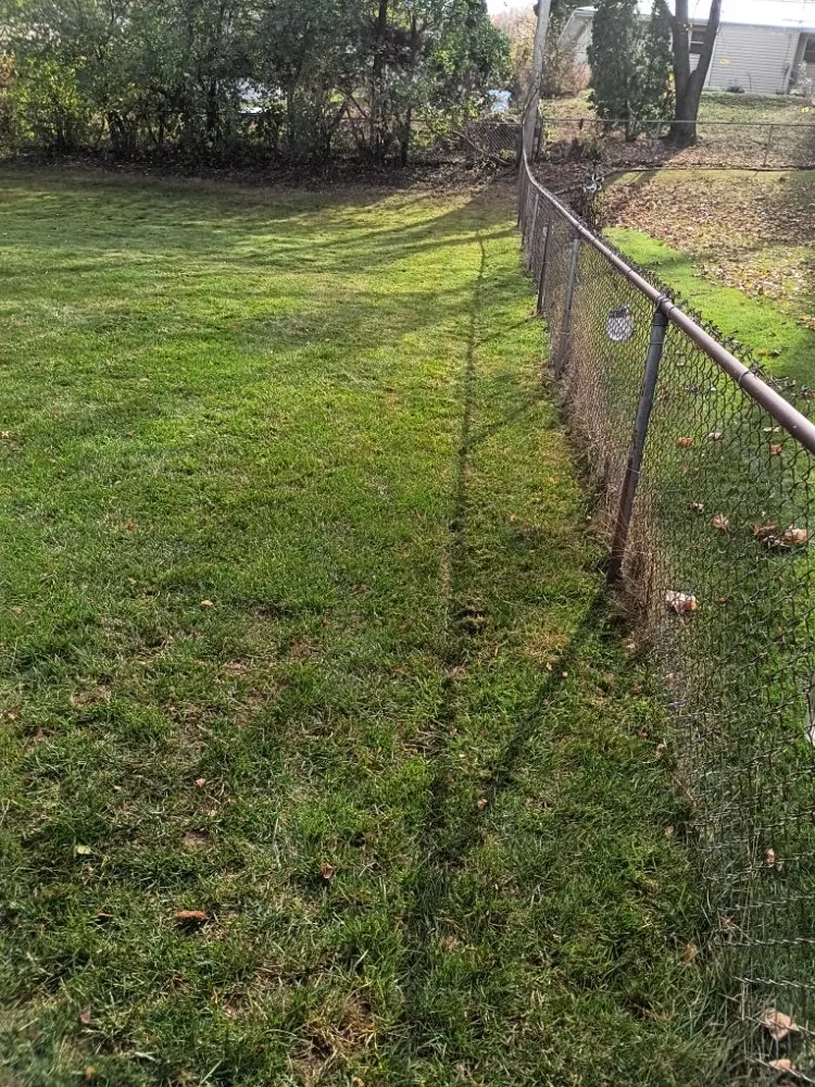 Affordable landscaping services in Sun Prairie, WI by AYA Lawn Care & Snow Removal