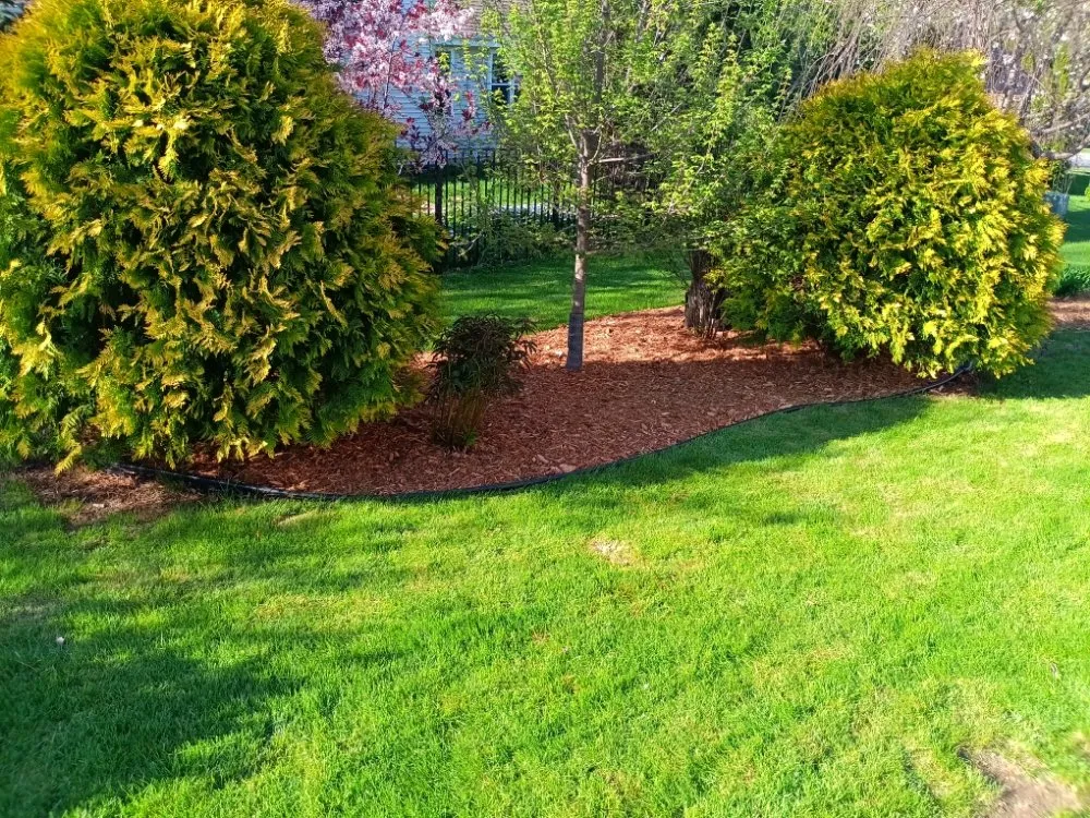 Affordable residential landscaping near you in Sun Prairie, WI by AYA Lawn Care & Snow Removal