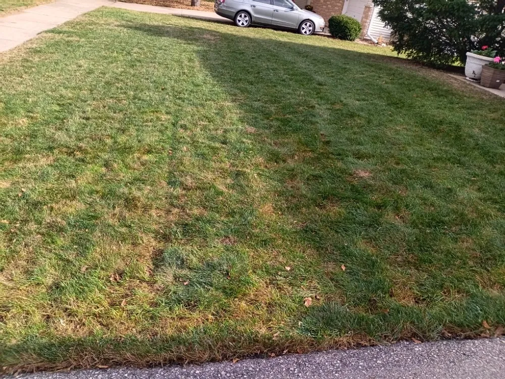 Professional landscape design experts serving Sun Prairie, WI - AYA Lawn Care & Snow Removal