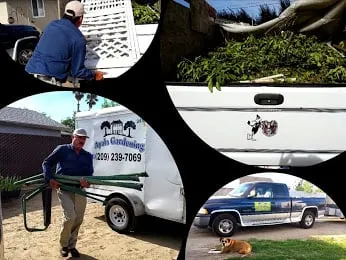 Professional garden landscaping in Manteca, CA - Ayala Gardening