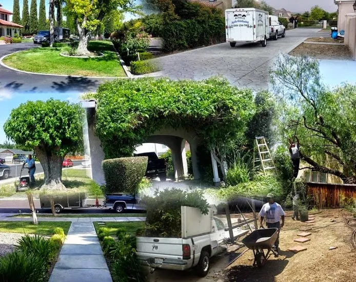 Top-rated residential landscaping experts serving Manteca, CA - Ayala Gardening