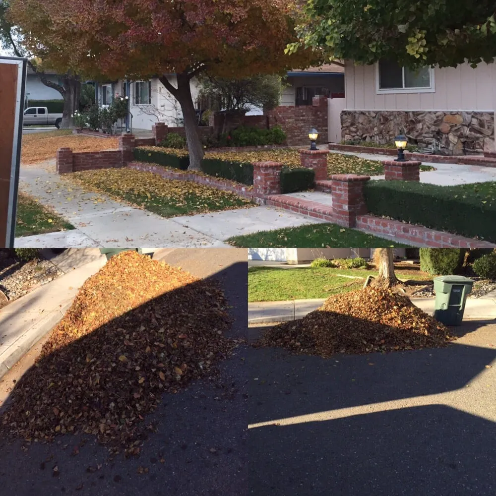 Reliable landscape installation in Manteca, CA - Ayala Gardening