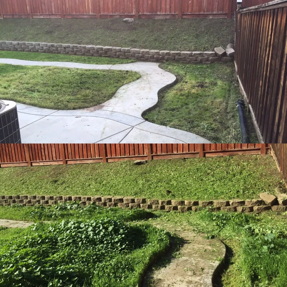 Professional outdoor landscaping for beautiful yards in Manteca, CA by Ayala Gardening
