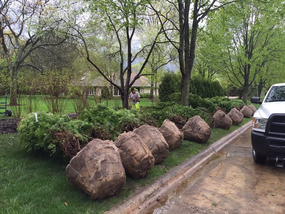 Affordable garden landscaping in Mundelein, IL - Ayala Landscape