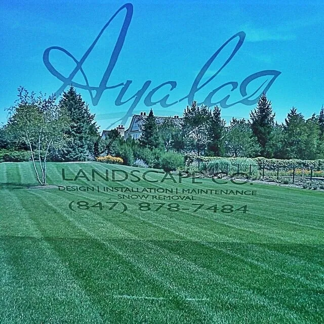 Professional residential landscaping for outdoor upgrades in Mundelein, IL by Ayala Landscape