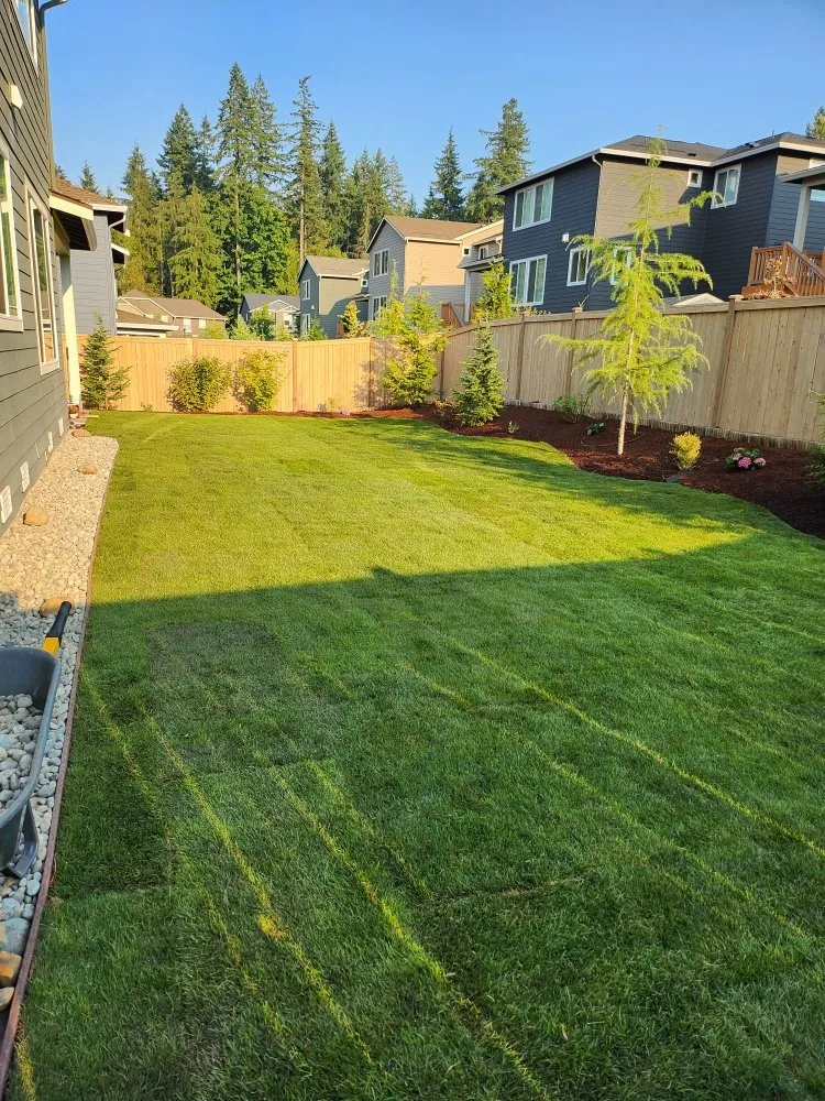 Custom landscaping services for beautiful yards in Lakewood, WA by Ayala Landscapes Construction